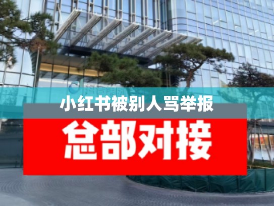 小红书被别人骂举报