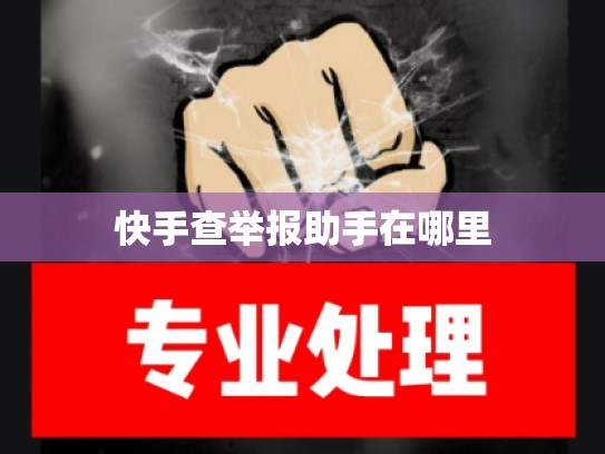 快手查举报助手在哪里