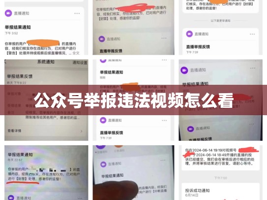 公众号举报违法视频怎么看