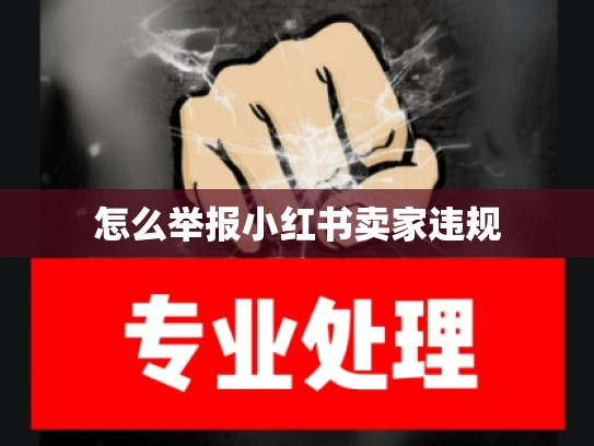 怎么举报小红书卖家违规
