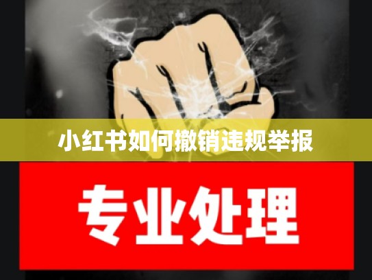 小红书如何撤销违规举报