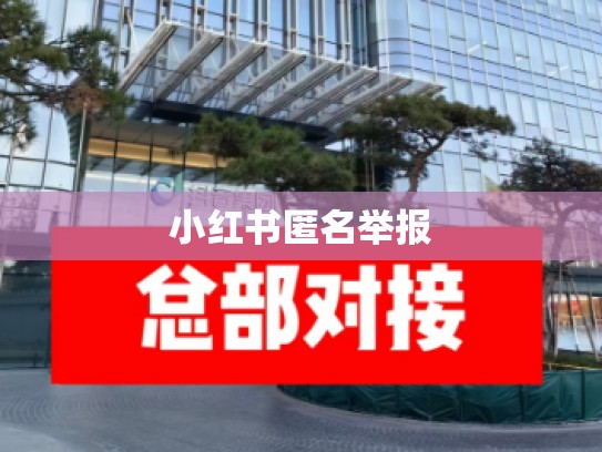 小红书匿名举报