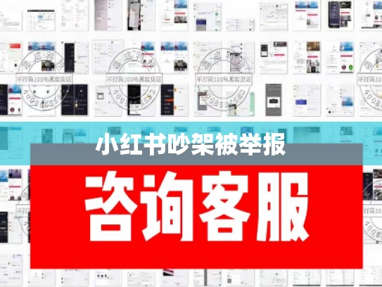 小红书吵架被举报