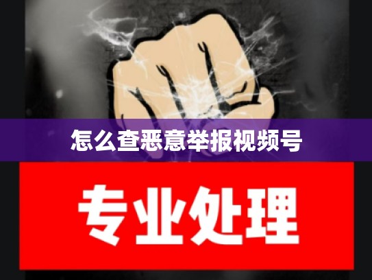 怎么查恶意举报视频号