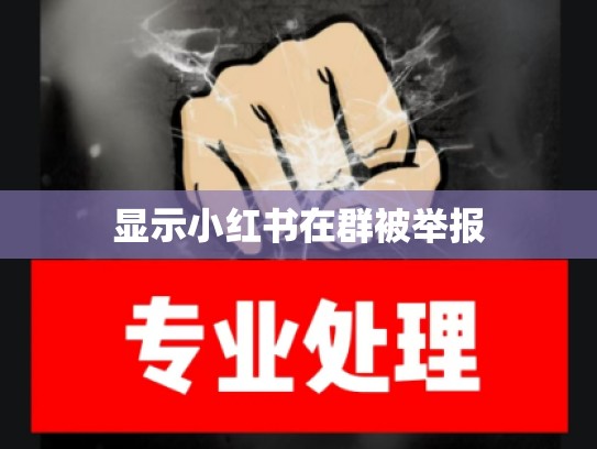 显示小红书在群被举报