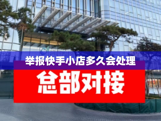 举报快手小店多久会处理