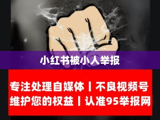 小红书被小人举报