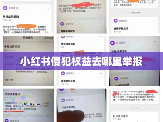 小红书侵犯权益去哪里举报