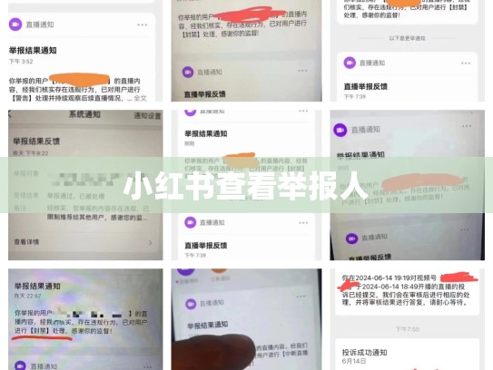 小红书查看举报人
