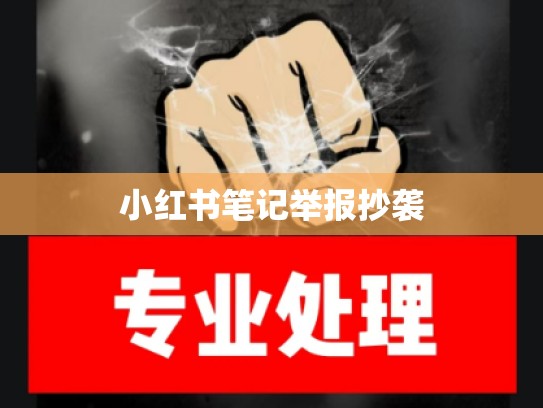 小红书笔记举报抄袭