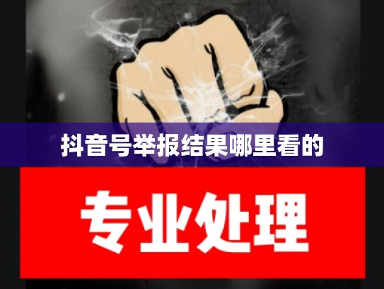 抖音号举报结果哪里看的