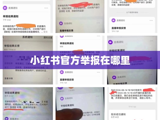 小红书官方举报在哪里