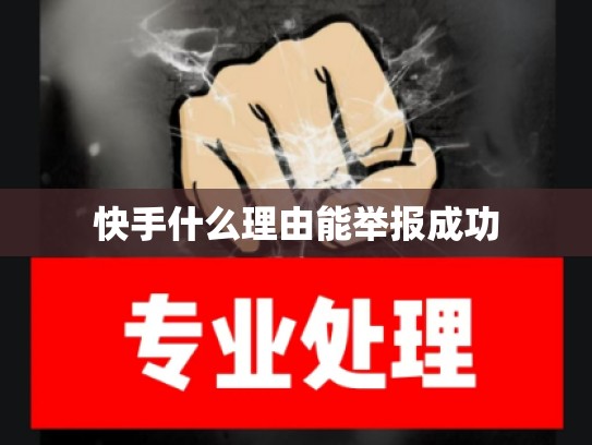 快手什么理由能举报成功