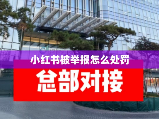 小红书被举报怎么处罚