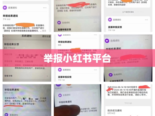 举报小红书平台
