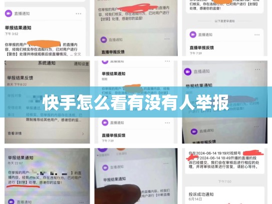 快手怎么看有没有人举报