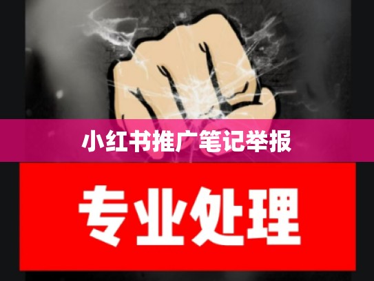 小红书推广笔记举报