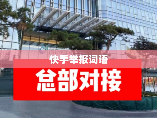 快手举报词语