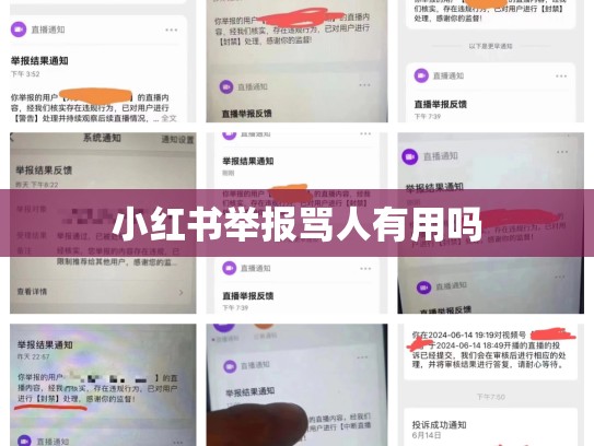 小红书举报骂人有用吗