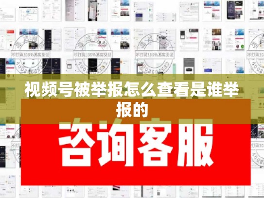 视频号被举报怎么查看是谁举报的