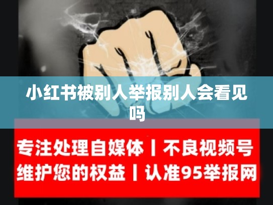 小红书被别人举报别人会看见吗