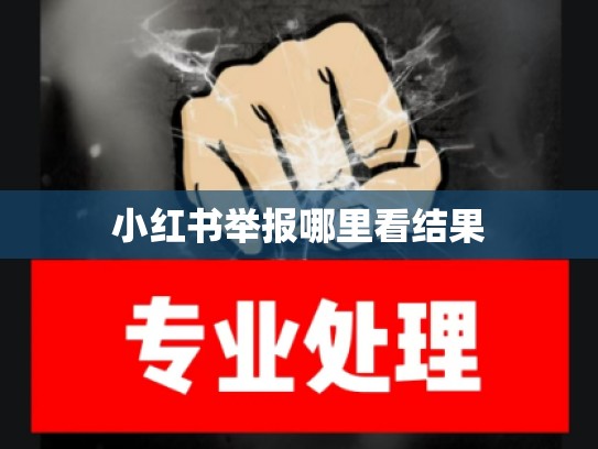 小红书举报哪里看结果