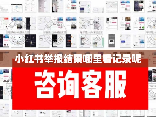 小红书举报结果哪里看记录呢