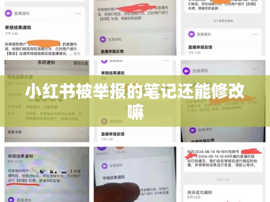 小红书被举报的笔记还能修改嘛
