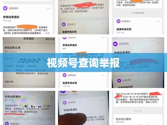 视频号查询举报