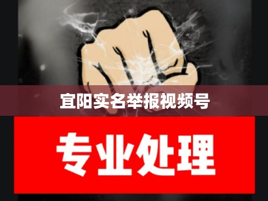 宜阳实名举报视频号