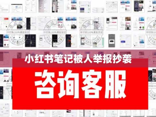 小红书笔记被人举报抄袭