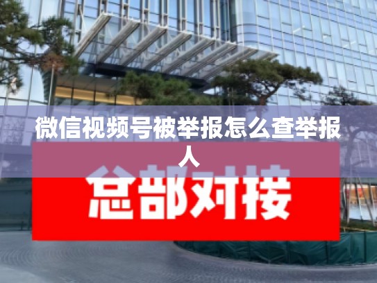 微信视频号被举报怎么查举报人