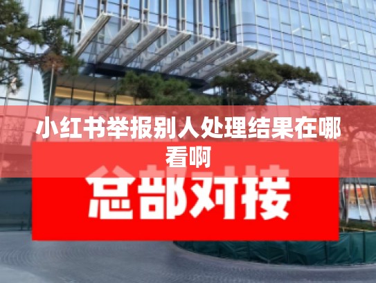 小红书举报别人处理结果在哪看啊