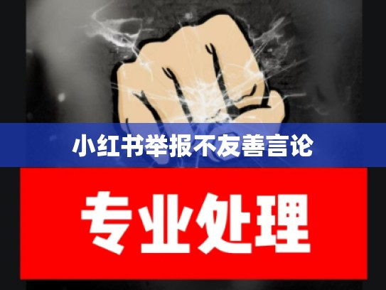 小红书举报不友善言论
