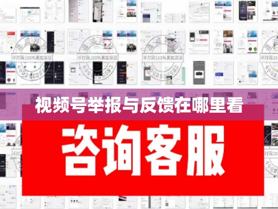 视频号举报与反馈在哪里看