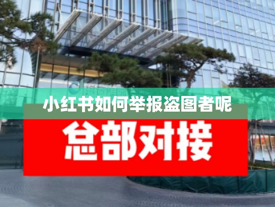 小红书如何举报盗图者呢
