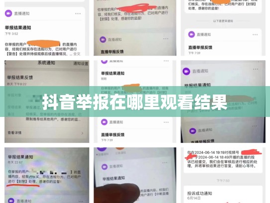 抖音举报在哪里观看结果