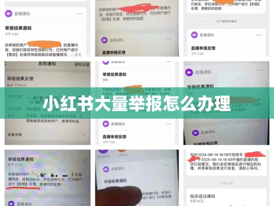 小红书大量举报怎么办理