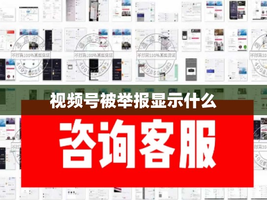 视频号被举报显示什么