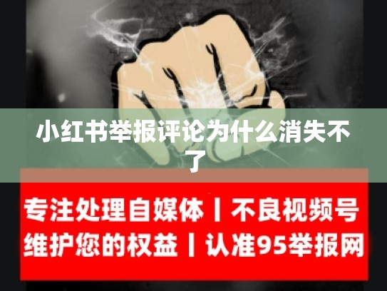 小红书举报评论为什么消失不了