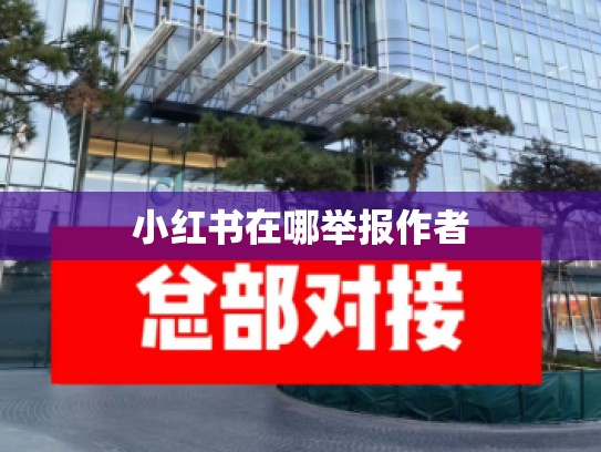 小红书在哪举报作者
