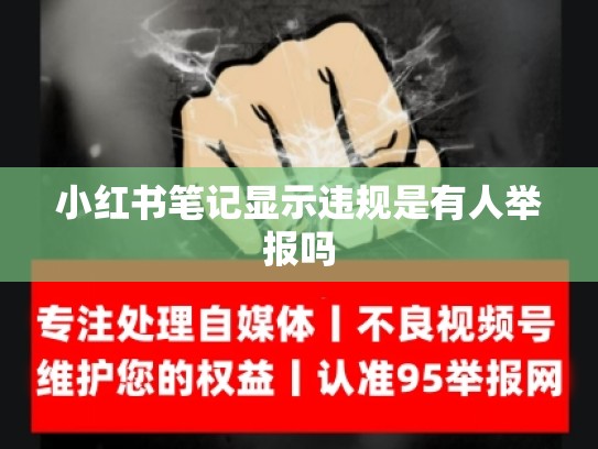 小红书笔记显示违规是有人举报吗