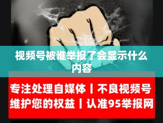 视频号被谁举报了会显示什么内容