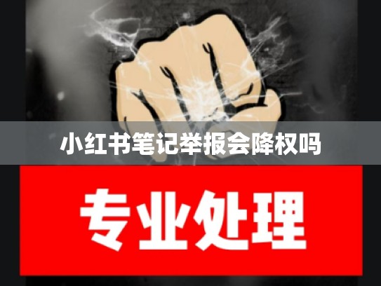 小红书笔记举报会降权吗