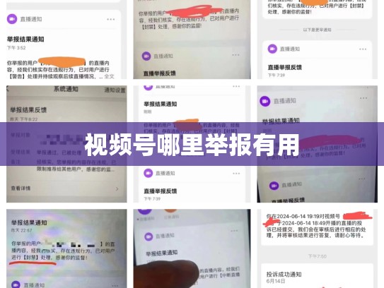 视频号哪里举报有用