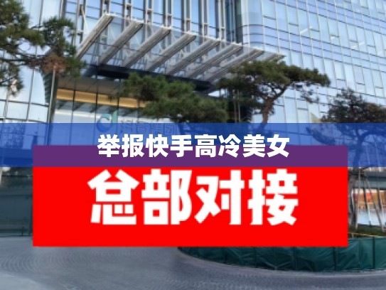 举报快手高冷美女