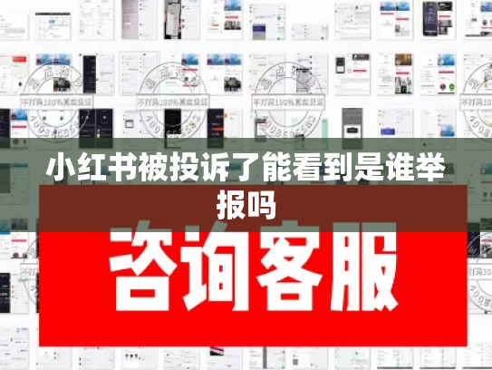 小红书被投诉了能看到是谁举报吗