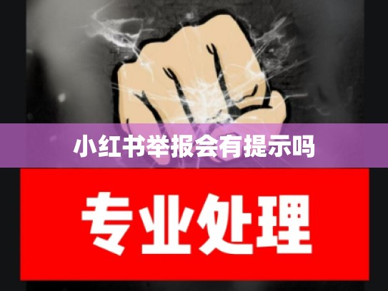 小红书举报会有提示吗