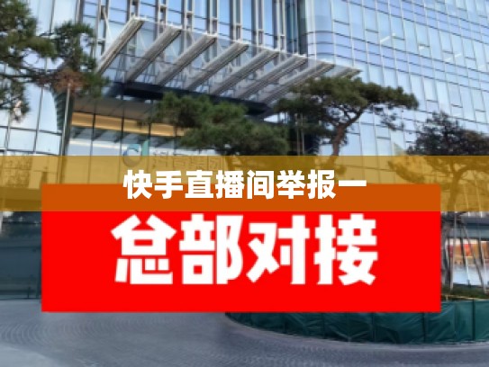 快手直播间举报一