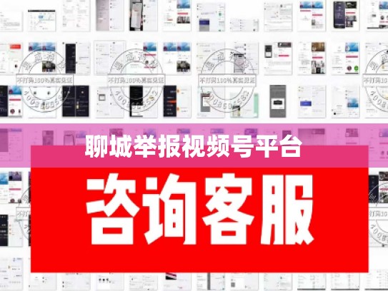 聊城举报视频号平台